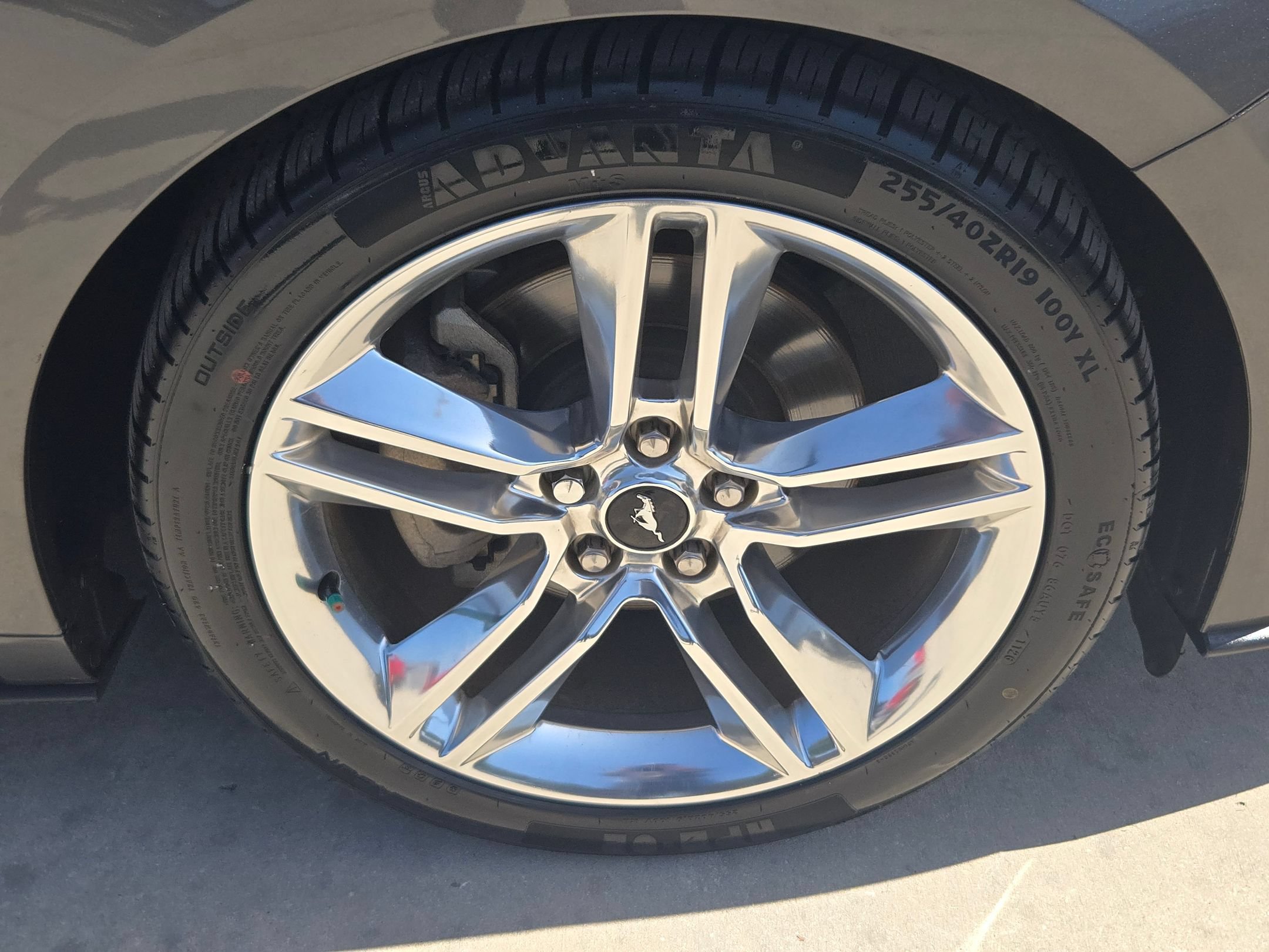 Used 2019 Ford Mustang Premium w/ Pony Package RWD image 29