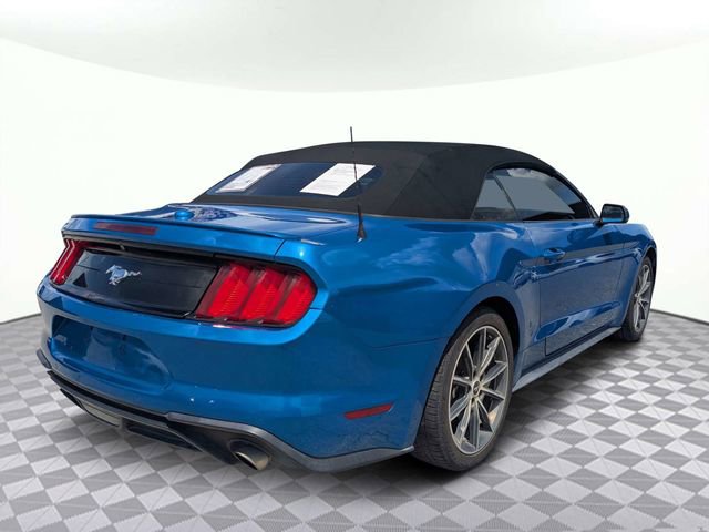 Used 2019 Ford Mustang Premium w/ Equipment Group 201A RWD image 3