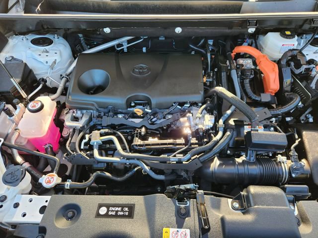 Used 2024 Toyota RAV4 LE image 31