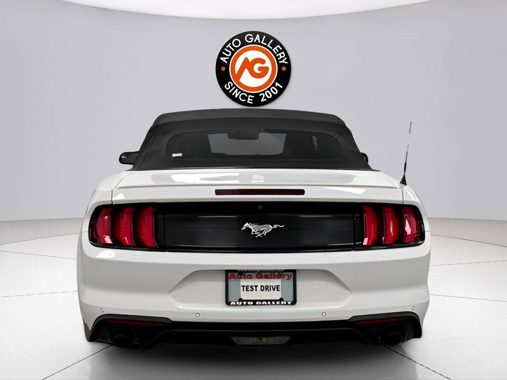 Used 2019 Ford Mustang Premium image 10