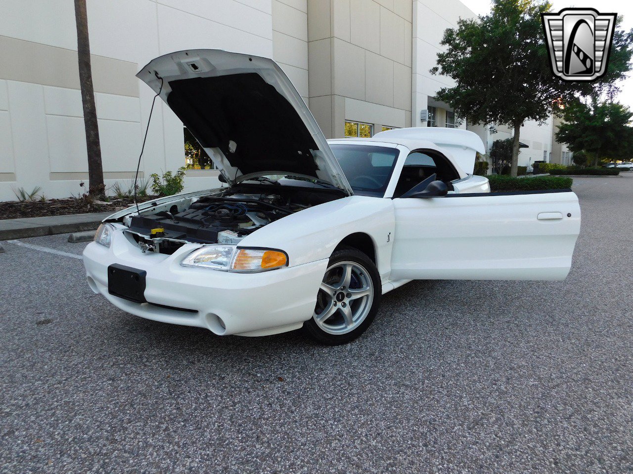 Used 1997 Ford Mustang Cobra image 22