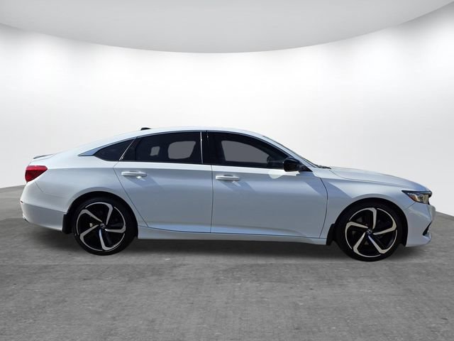 Used 2021 Honda Accord Sport Special Edition image 3