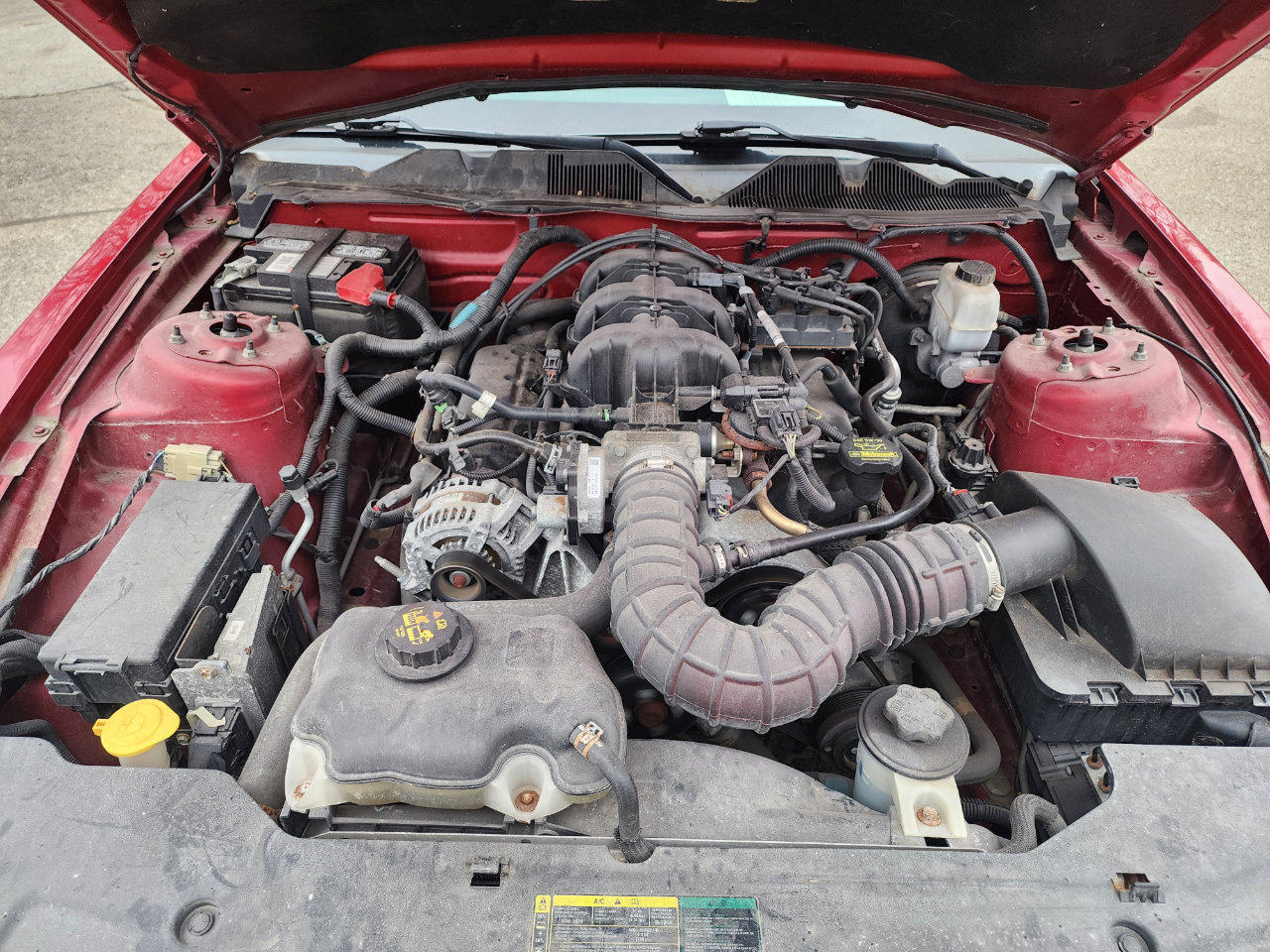 Used 2010 Ford Mustang Coupe image 12