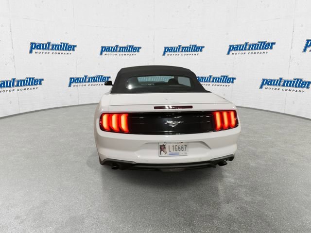 Used 2020 Ford Mustang Premium image 10