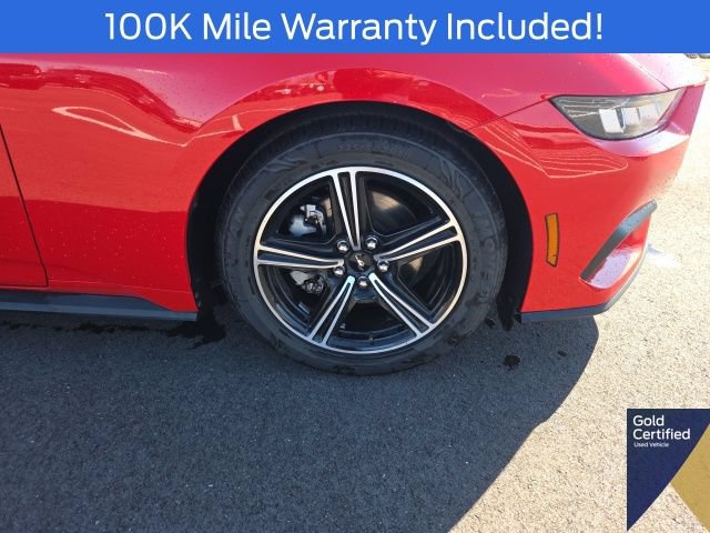 Used 2024 Ford Mustang Premium RWD image 6