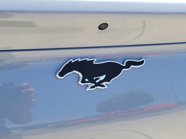 New 2026 Ford Mustang Mach-E Select w/ Interior Protection Package RWD image 32
