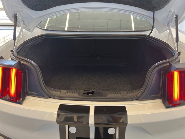 Used 2020 Ford Mustang Shelby GT350 image 11
