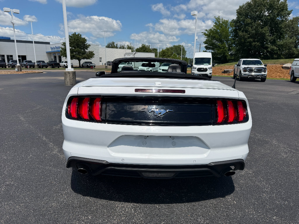 Used 2018 Ford Mustang Premium RWD image 6