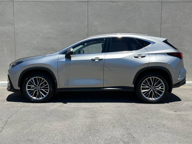 Used 2025 Lexus NX 350h AWD w/ Cold Area Package image 6