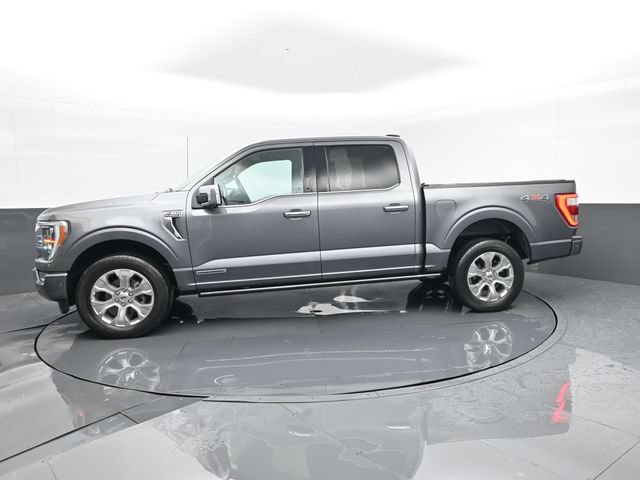Used 2023 Ford F150 Platinum AWD/4WD image 5