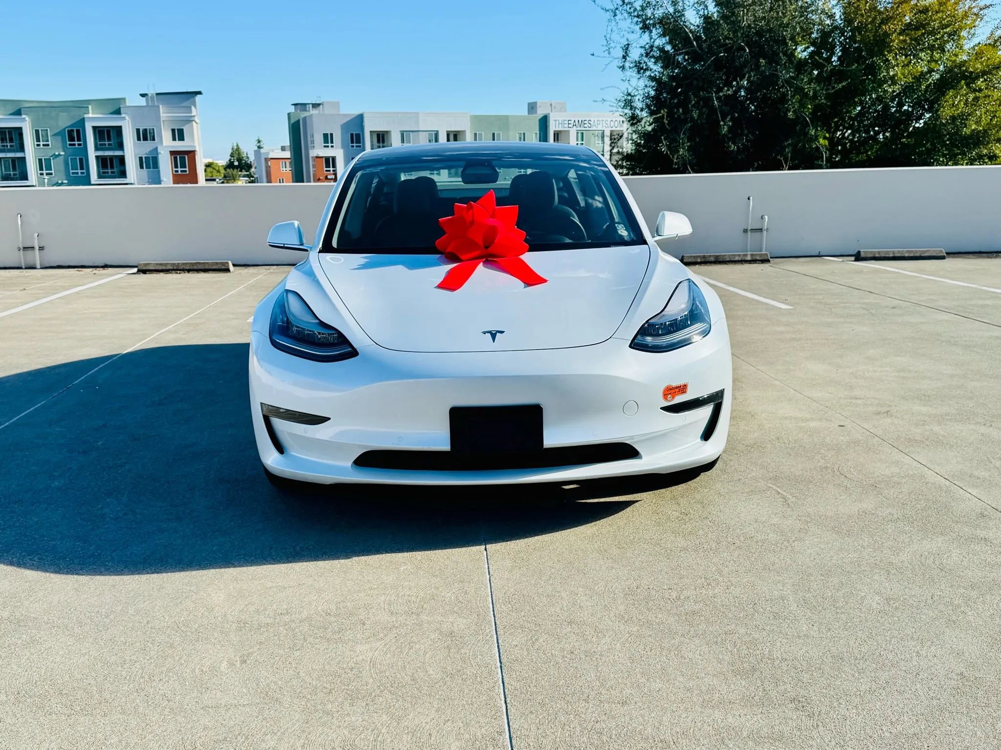 Used 2020 Tesla Model 3 image 13