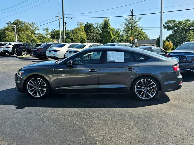 Used 2019 Audi A5 2.0T Premium Plus w/ Premium Plus AWD/4WD image 14