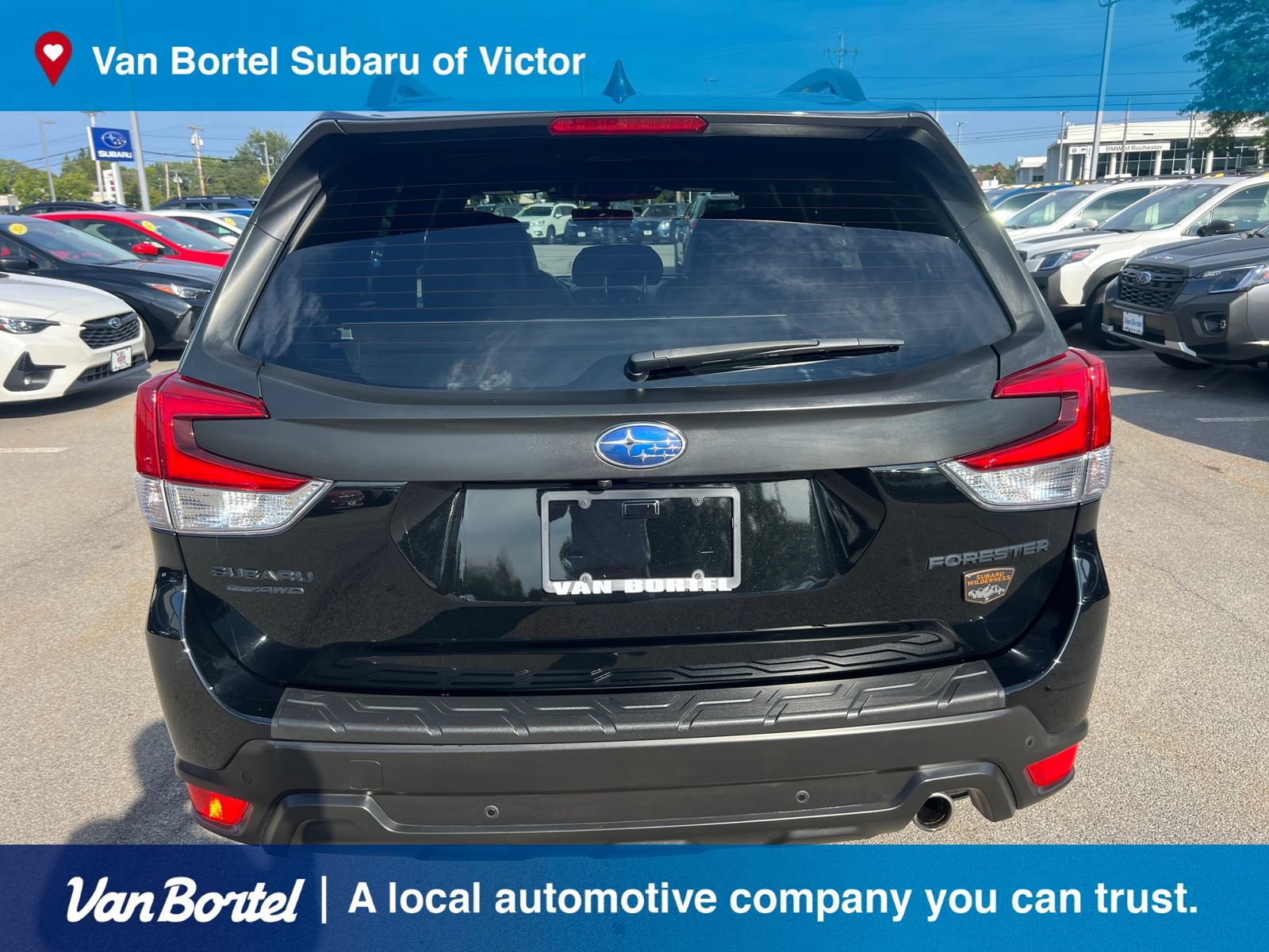 Certified 2024 Subaru Forester Wilderness AWD/4WD image 5