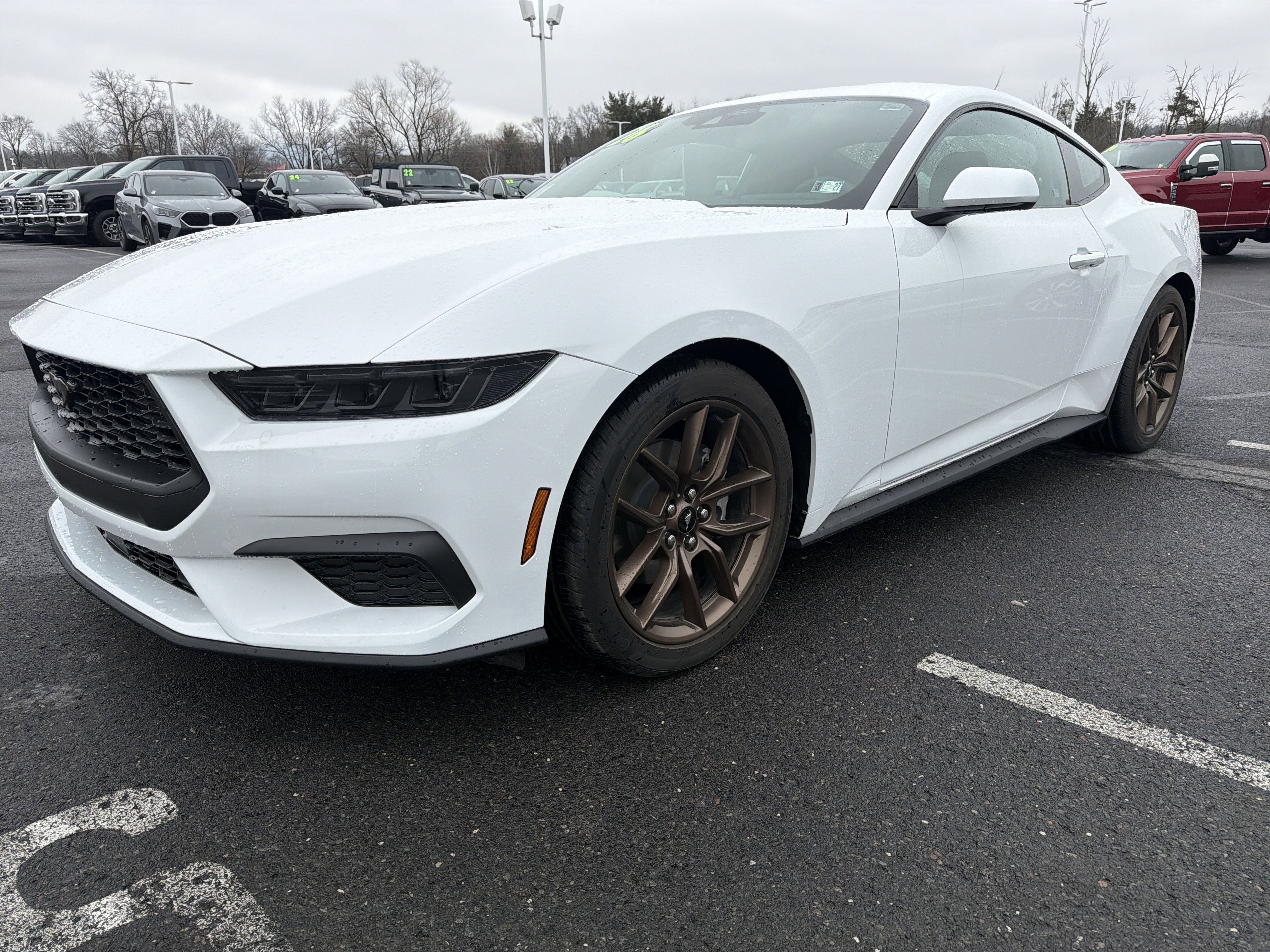 Used 2026 Ford Mustang EcoBoost image 8