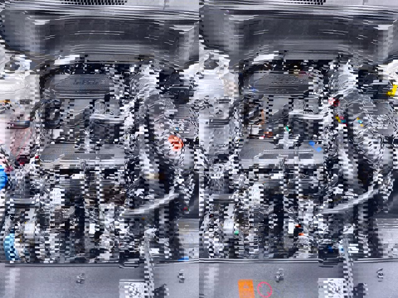 Certified 2024 Kia Seltos X-Line image 15