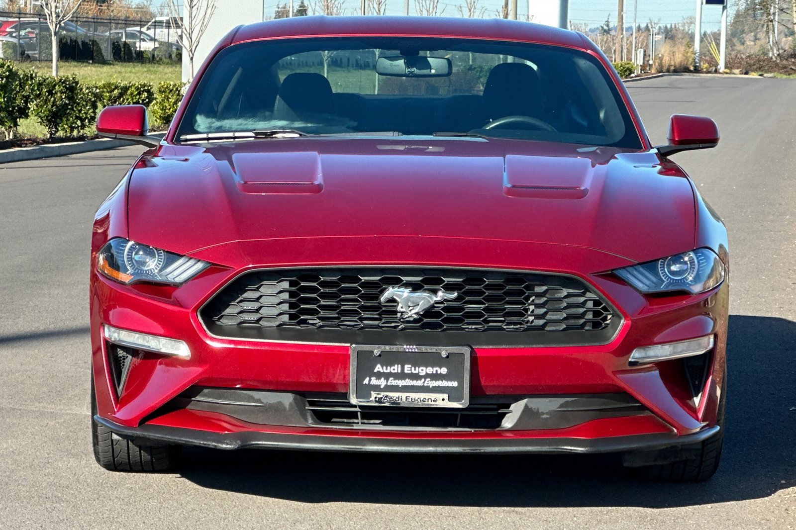 Used 2018 Ford Mustang EcoBoost image 8