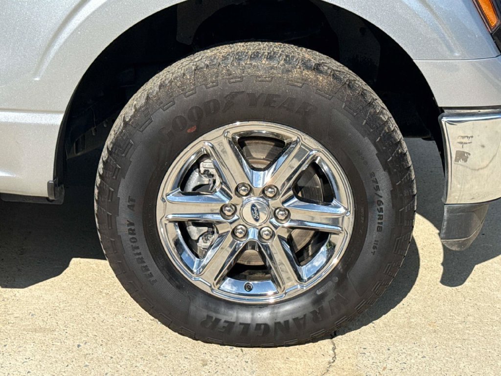 Used 2025 Ford F150 XLT w/ Equipment Group 301A Standard AWD/4WD image 7
