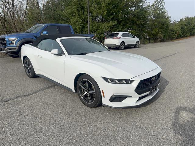 Used 2024 Ford Mustang Premium image 4