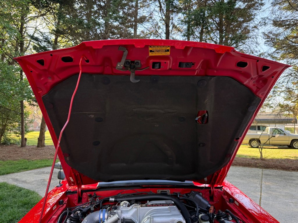 Used 1993 Ford Mustang Cobra image 80