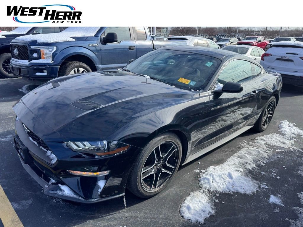 Used 2019 Ford Mustang EcoBoost w/ Equipment Group 101A image 1