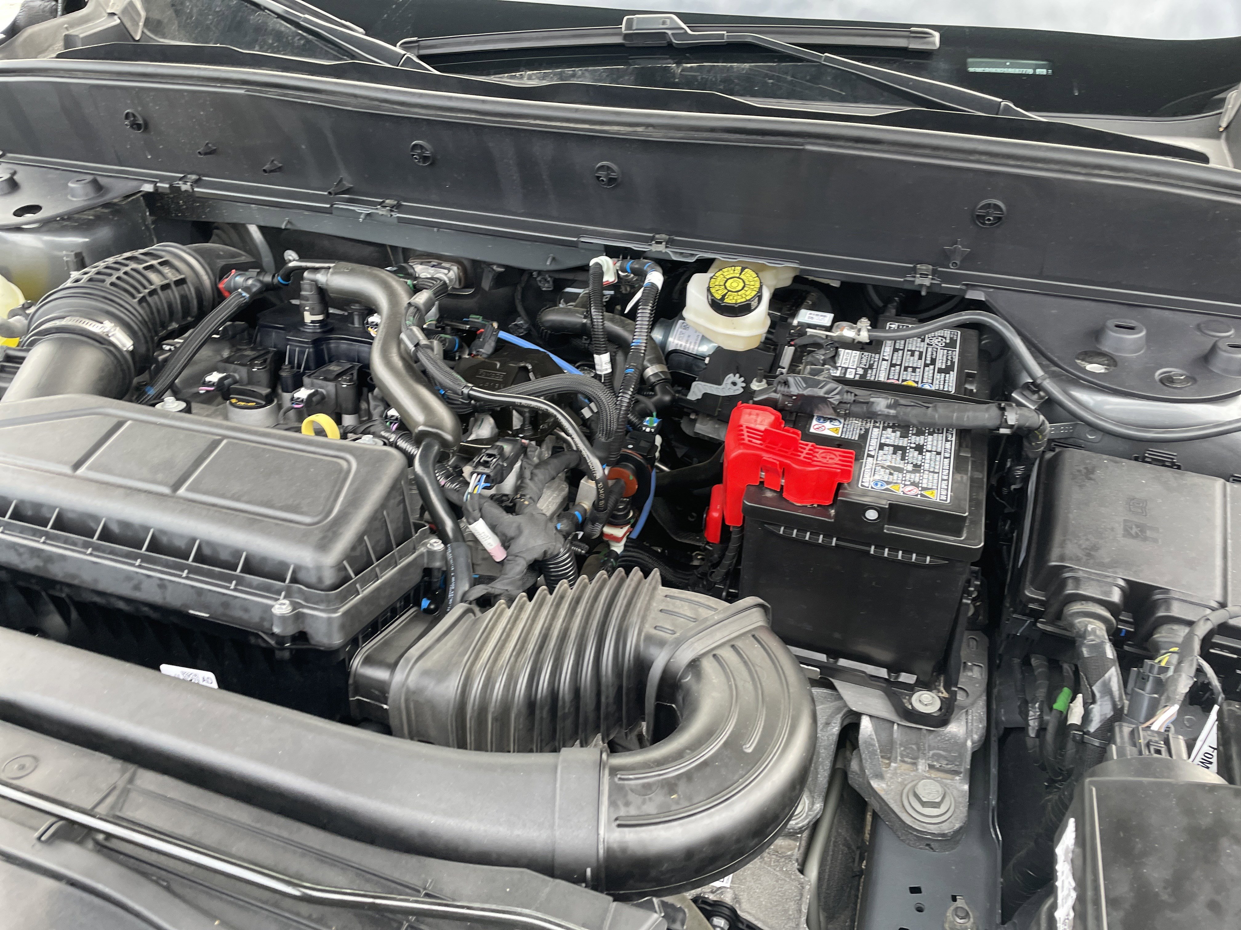 Used 2025 Ford Bronco Sport Free Wheeling w/ Convenience Package image 36