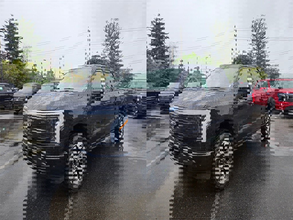 New 2025 Ford F150 Lightning Platinum