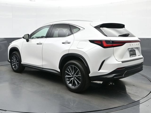 Certified 2025 Lexus NX 250 FWD w/ Premium Package image 6