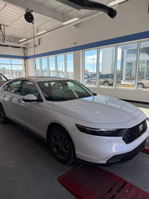 Certified 2025 Honda Accord EX-L image 2