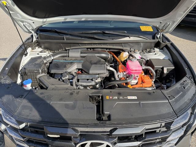 Used 2025 Hyundai Tucson Blue image 24