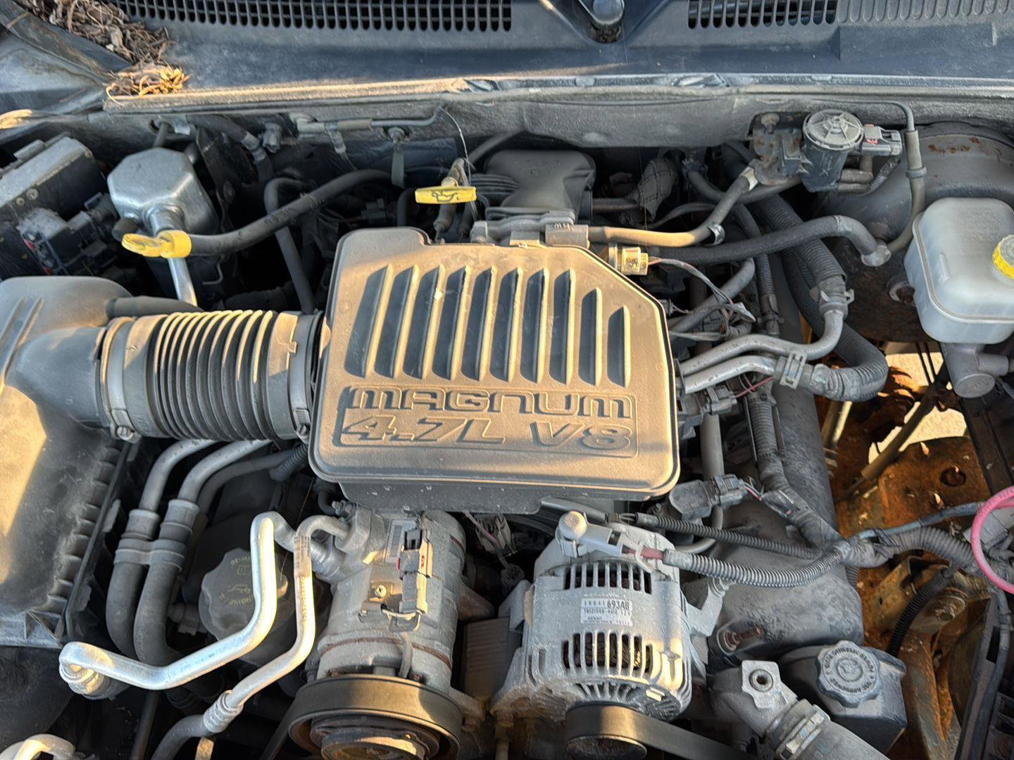 Used 2005 Dodge Dakota SLT w/ Trailer Tow Group image 22