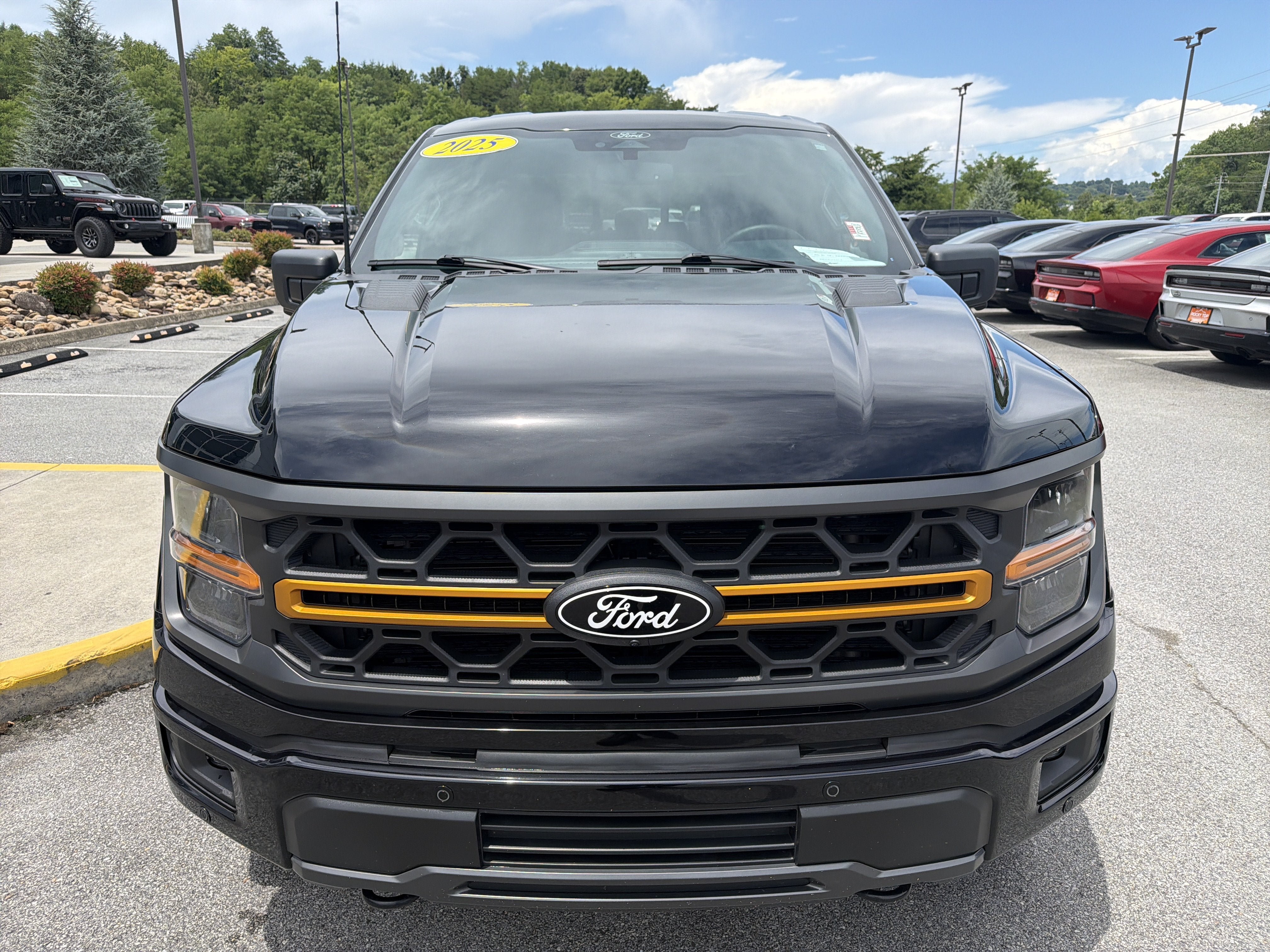 Used 2025 Ford F150 Tremor w/ Tow/Haul Package AWD/4WD image 4