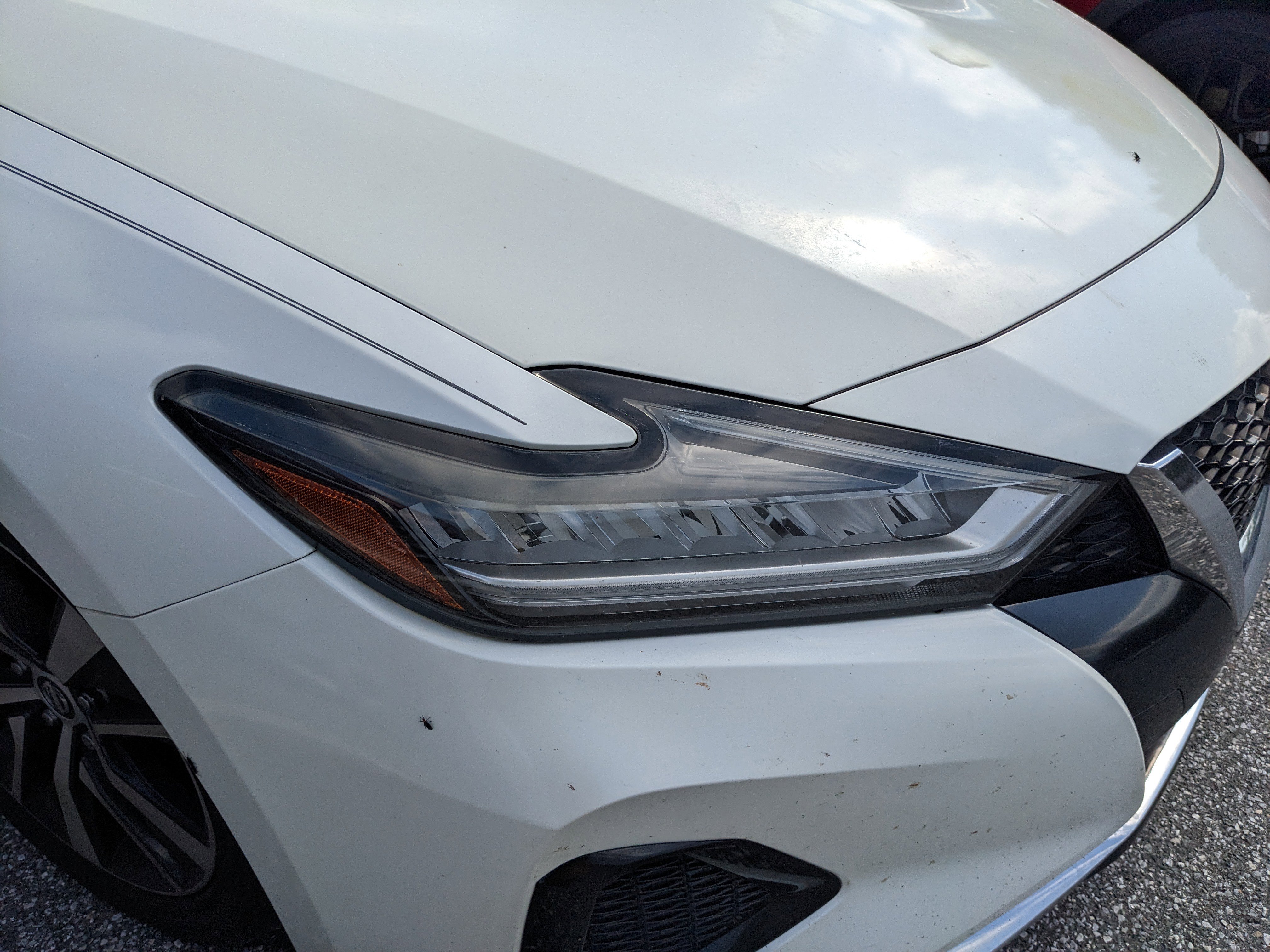 Used 2020 Nissan Maxima 3.5 S w/ Floor Mat Group FWD image 16