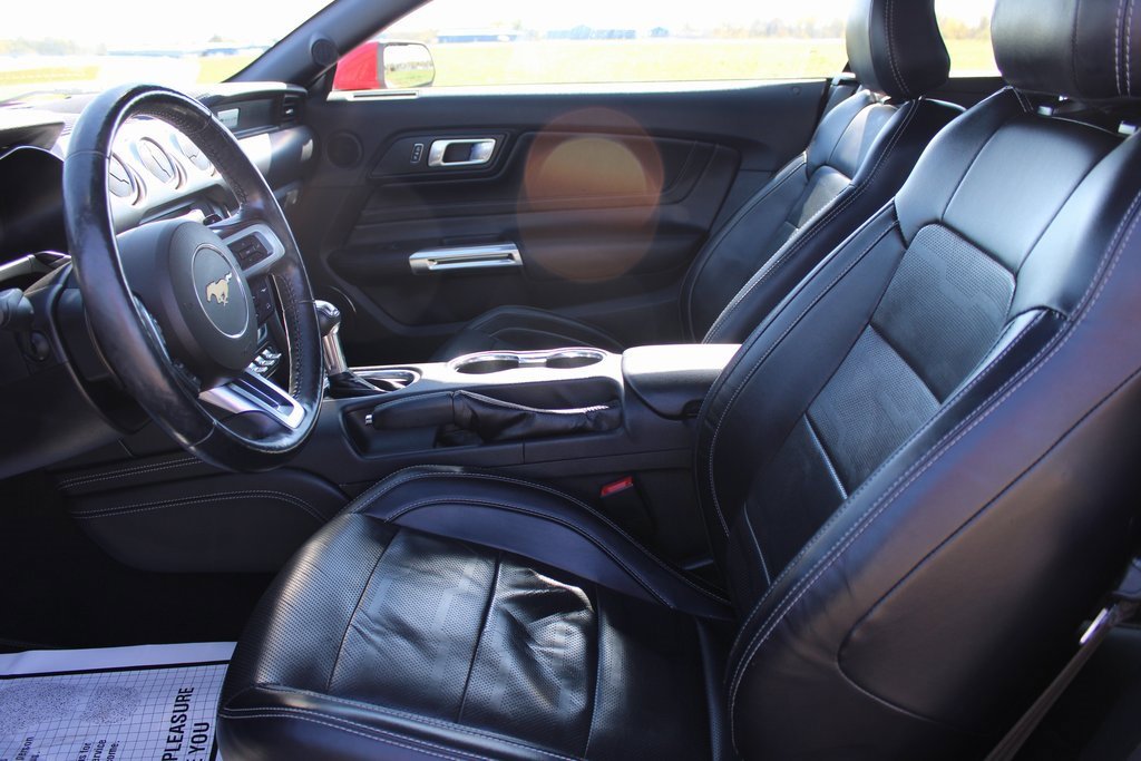 Used 2019 Ford Mustang GT Premium w/ Equipment Group 401A image 11