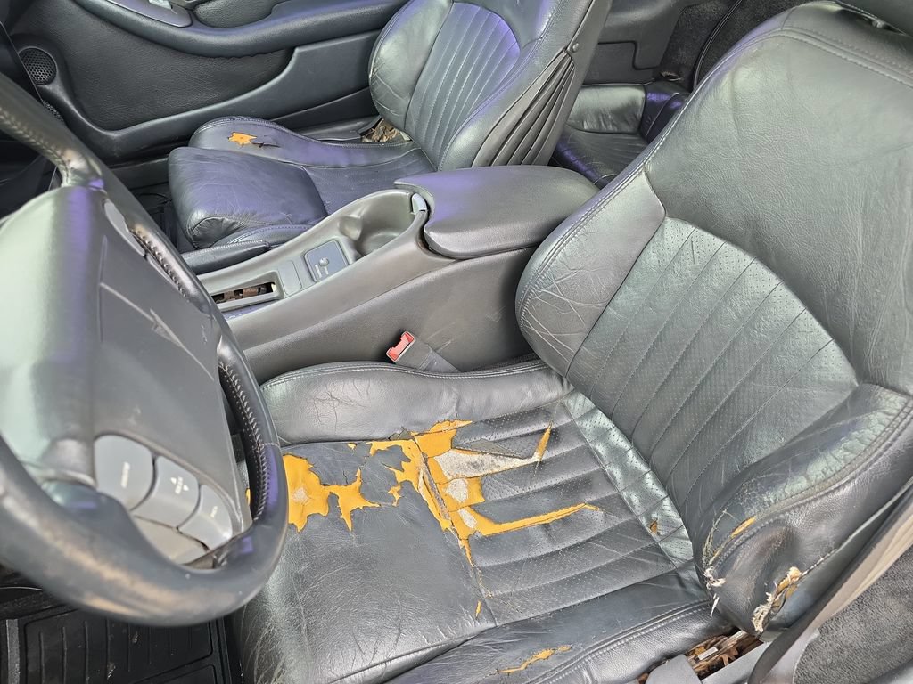 Used 1994 Pontiac Firebird Trans Am RWD image 16
