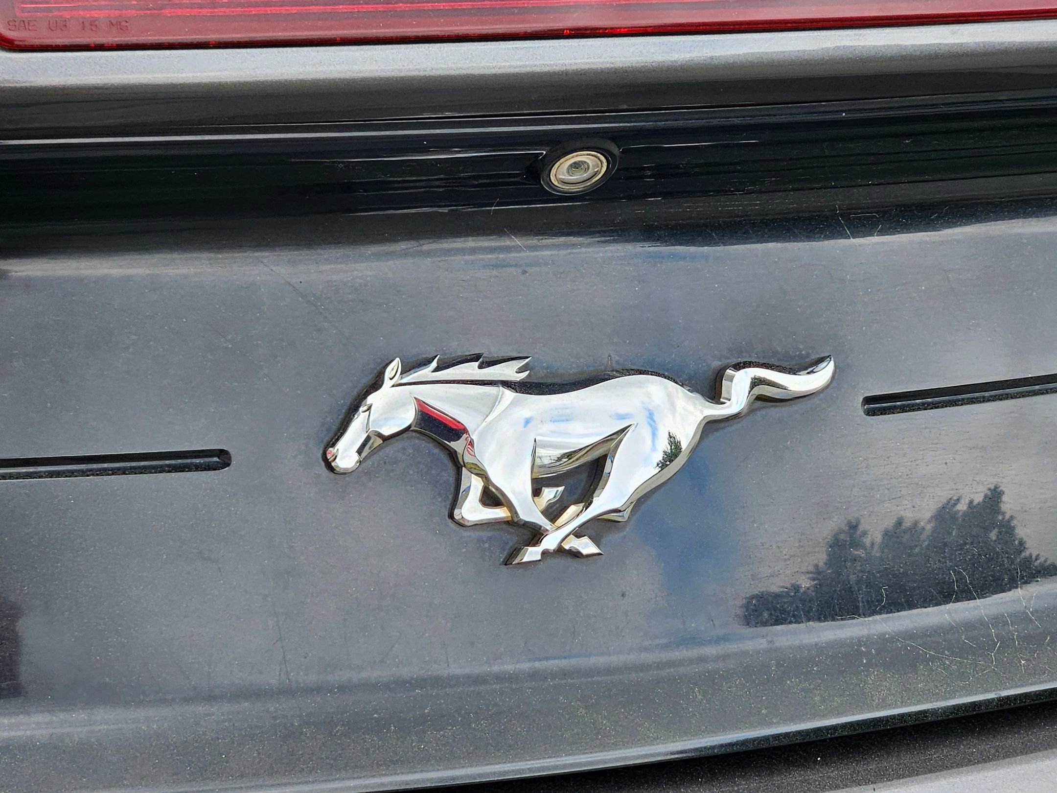 Used 2019 Ford Mustang Premium image 28