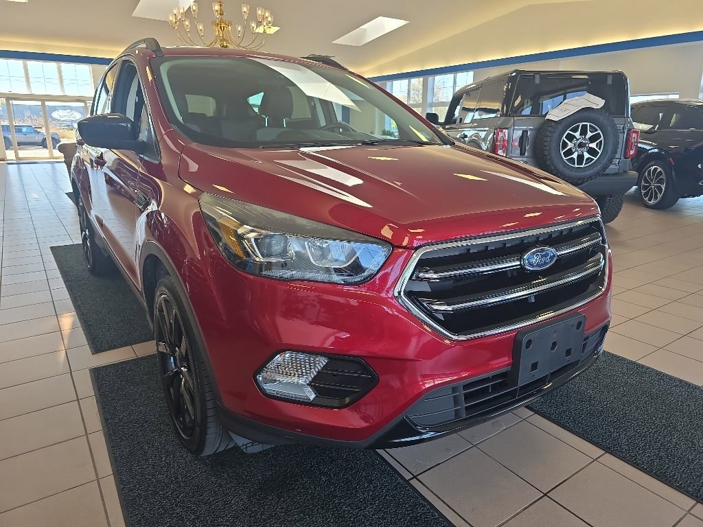 Used 2017 Ford Escape SE w/ Equipment Group 201A AWD/4WD image 10