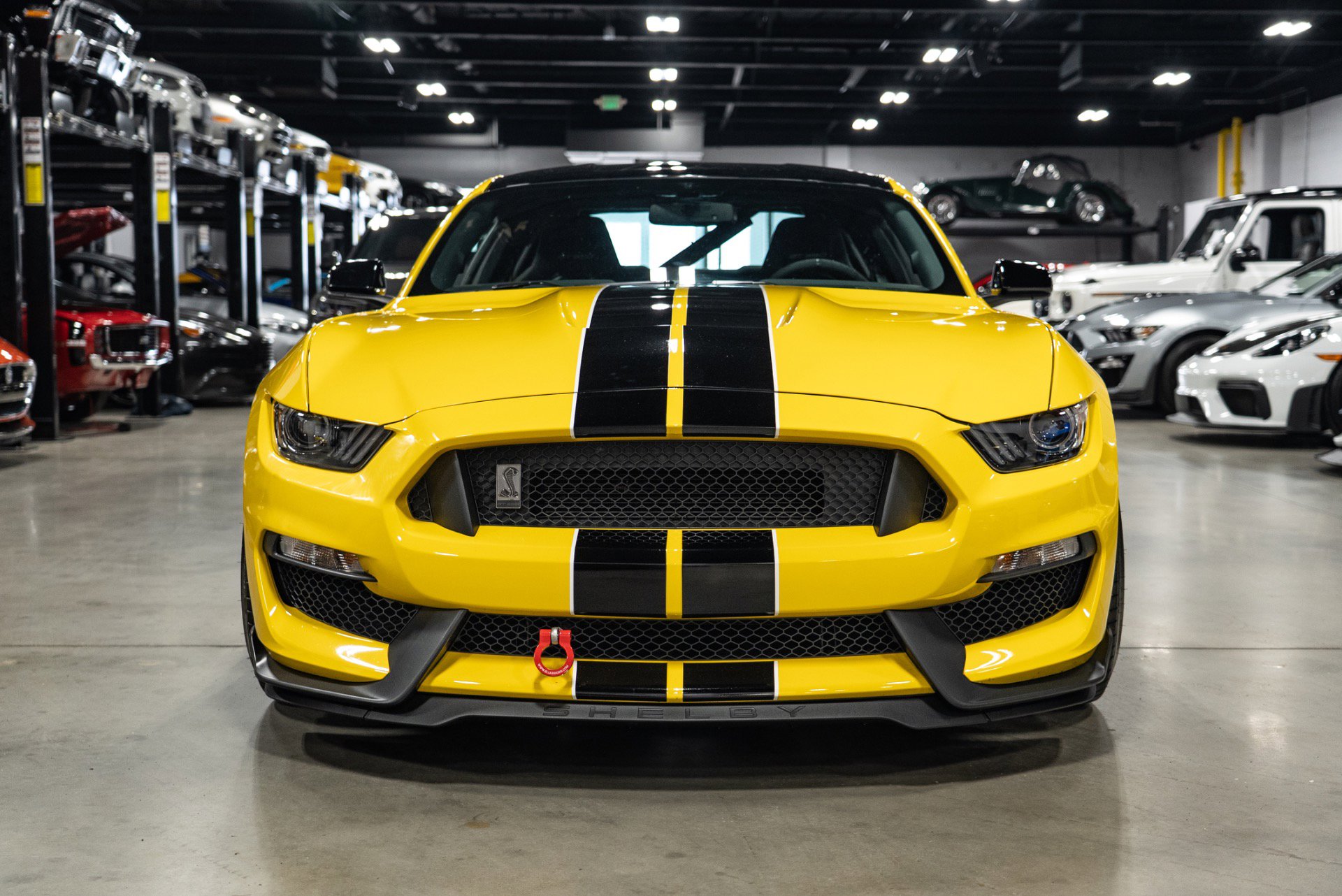 Used 2016 Ford Mustang Shelby GT350 w/ Track Package image 12