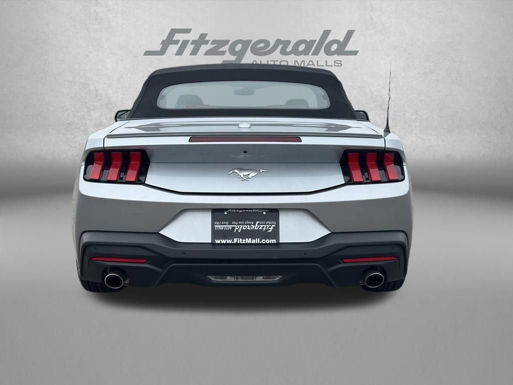 Used 2024 Ford Mustang Premium RWD image 6