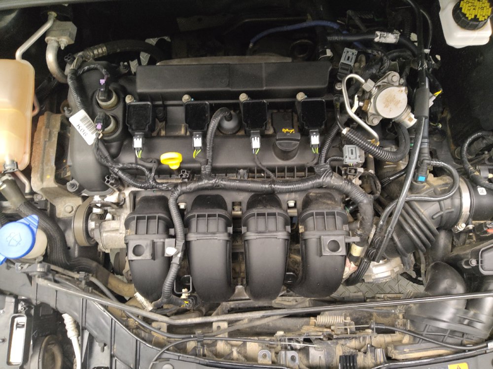 Used 2018 Ford Focus SE w/ Cold Weather Package FWD image 30