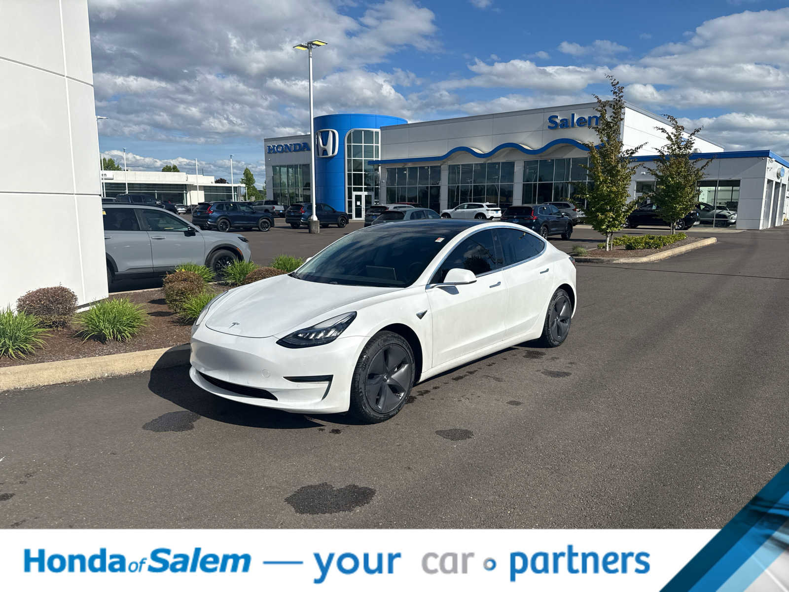 Used 2020 Tesla Model 3 Standard Range Plus RWD image 1