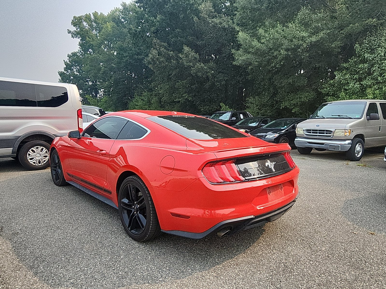 Used 2019 Ford Mustang Premium w/ Equipment Group 201A RWD image 3