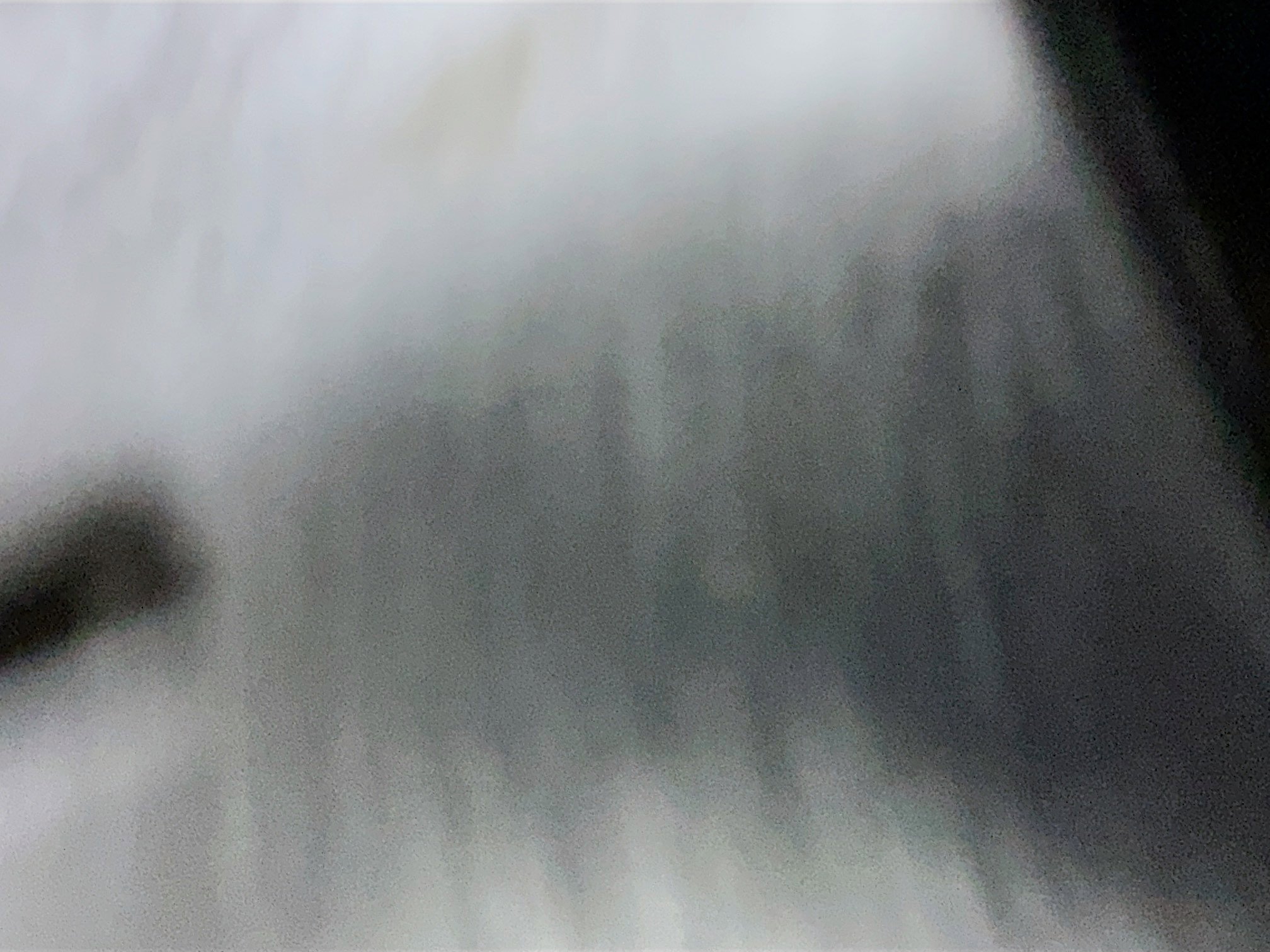 Used 2025 MAZDA CX-50 AWD 2.5 S w/ Preferred Package image 33