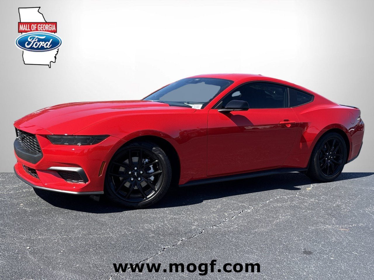 New 2026 Ford Mustang Coupe w/ Mustang Nite Pony Package RWD image 1