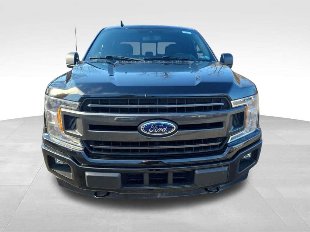 Certified 2019 Ford F150 XLT w/ Equipment Group 302A Luxury image 2