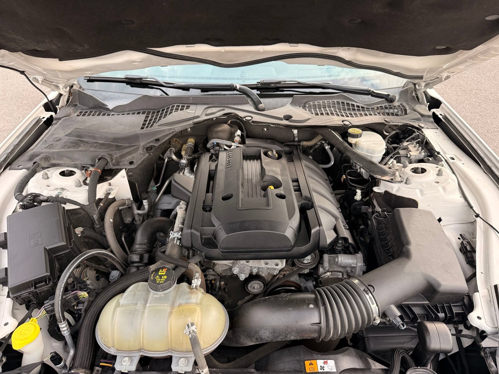 Used 2017 Ford Mustang Premium w/ Equipment Group 201A RWD image 41
