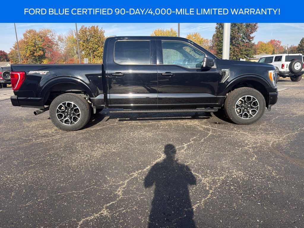 Used 2023 Ford F150 XLT w/ Equipment Group 302A High AWD/4WD image 7