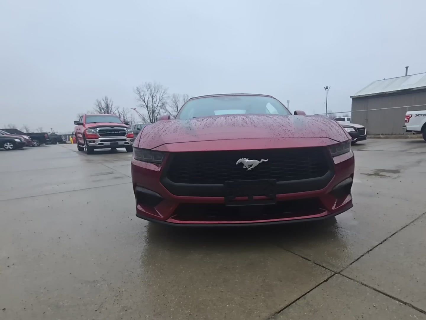 Used 2025 Ford Mustang Premium w/ Wheel & Stripe Package image 2