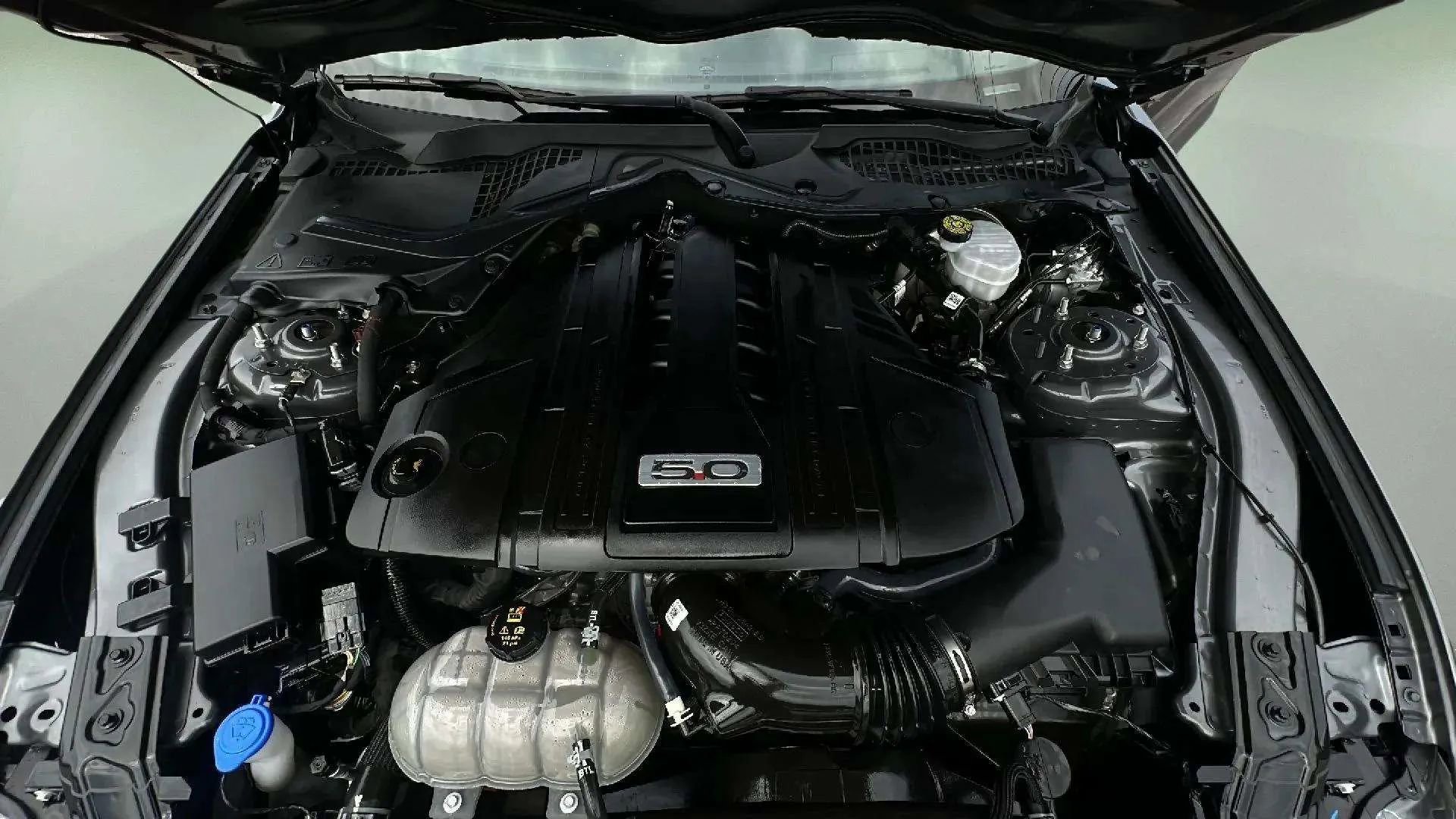 Used 2023 Ford Mustang GT w/ Equipment Group 301A image 40