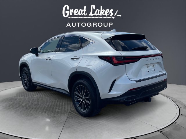 Used 2024 Lexus NX 350h AWD image 3