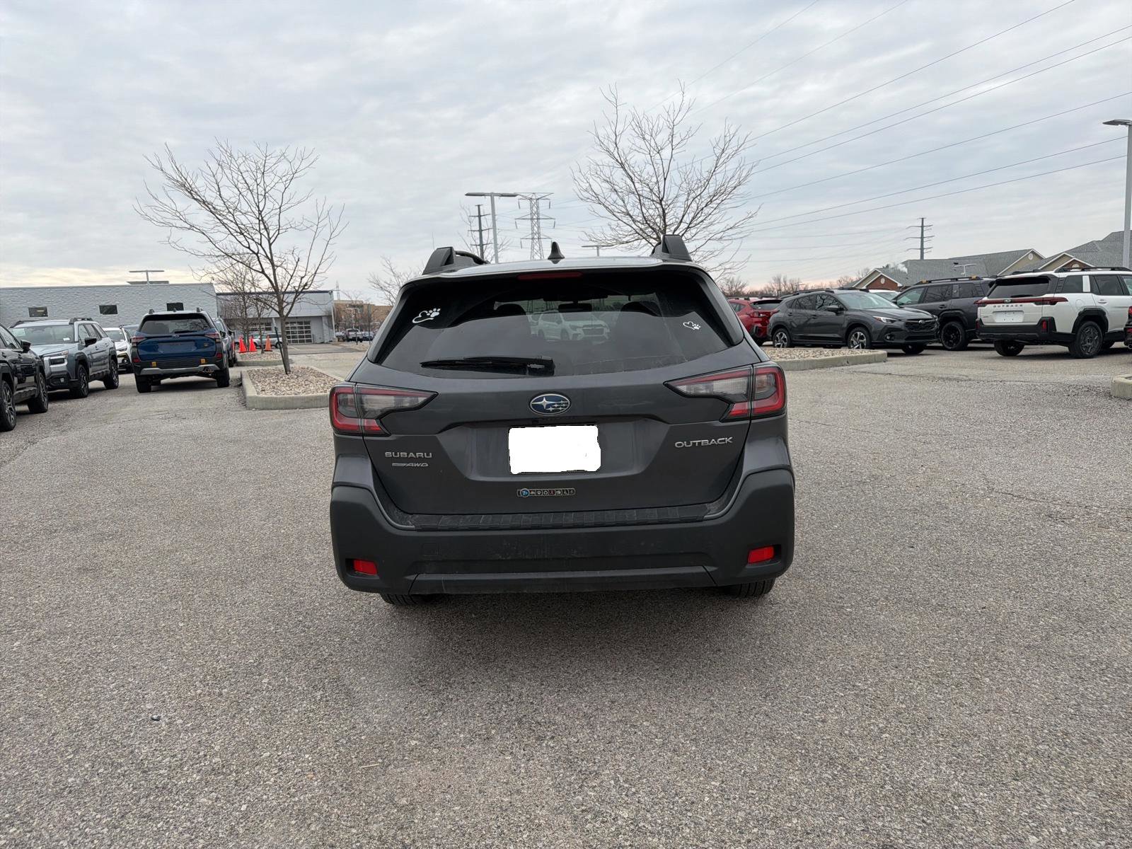 Certified 2024 Subaru Outback Premium image 7